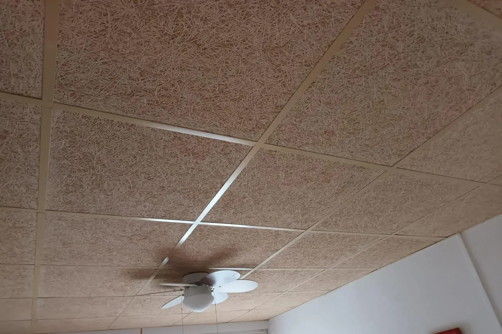 Techo hecho de pladur por DML Pladur y Escayola.