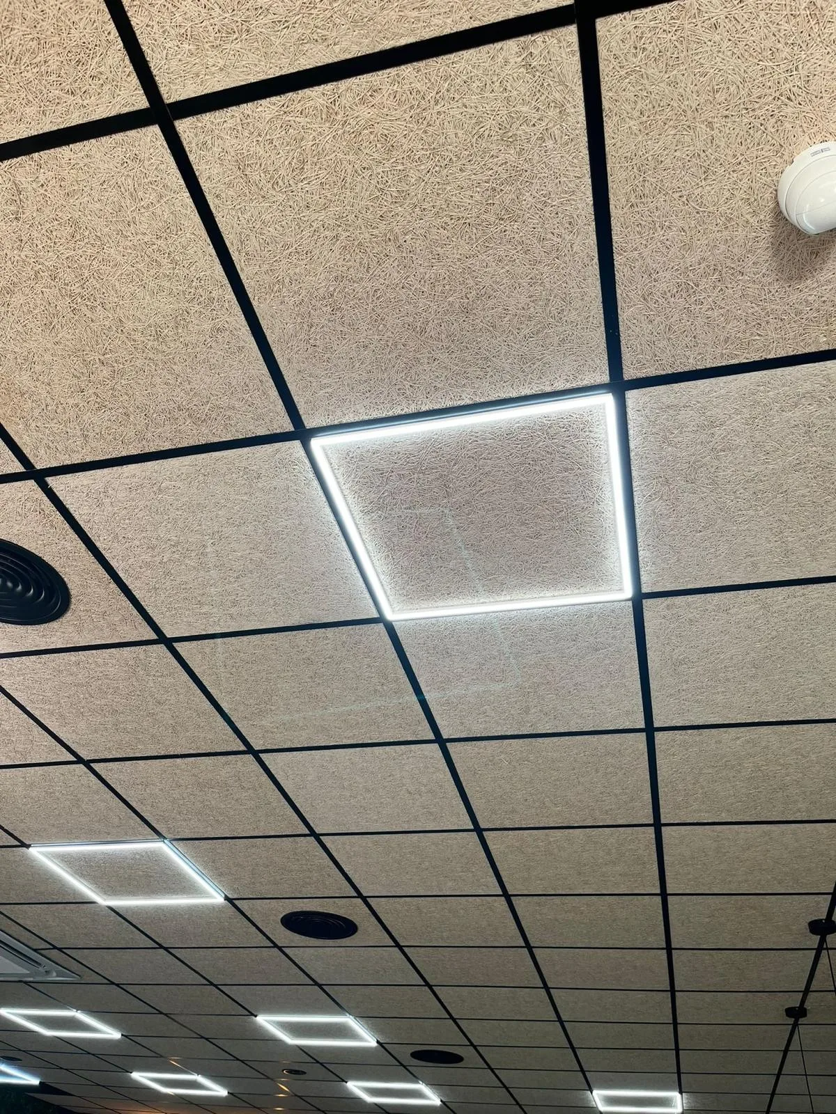 Imagen real de DML Pladur y Escayolas en la han montado un techo falso con luces para una empresa.